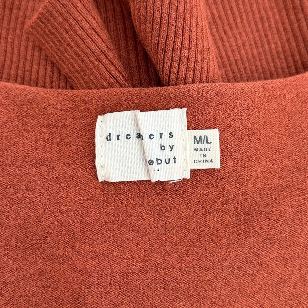 Dreamers by Debut Rust V Neck Front Seam Sweater
